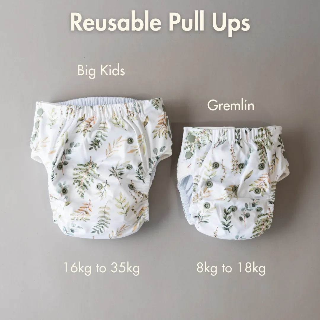 Big Kids Pull Up Reusable Nappy - Homestead